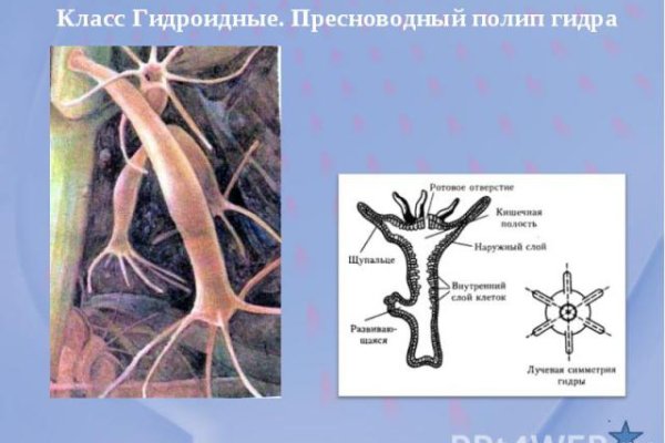 Кракен новый маркетплейс