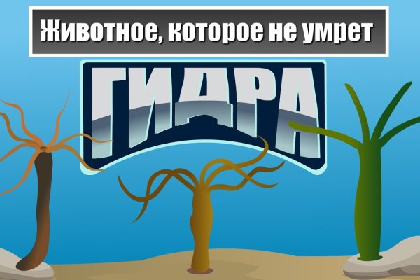 Кракен маркетплейс тор