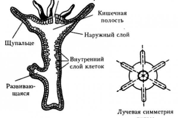 Кракен площадка vk2 top