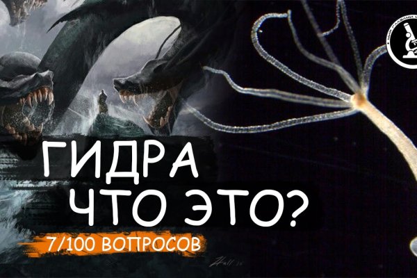 Kraken вывод денег